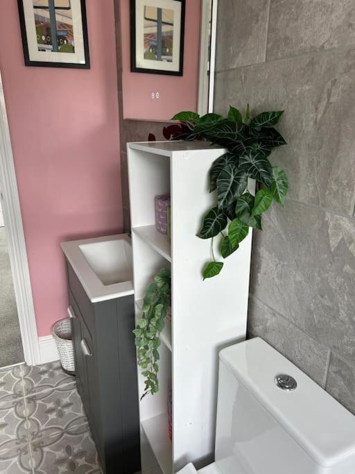 Three Storey Clifton Town House บริสตอล ภายนอก รูปภาพ